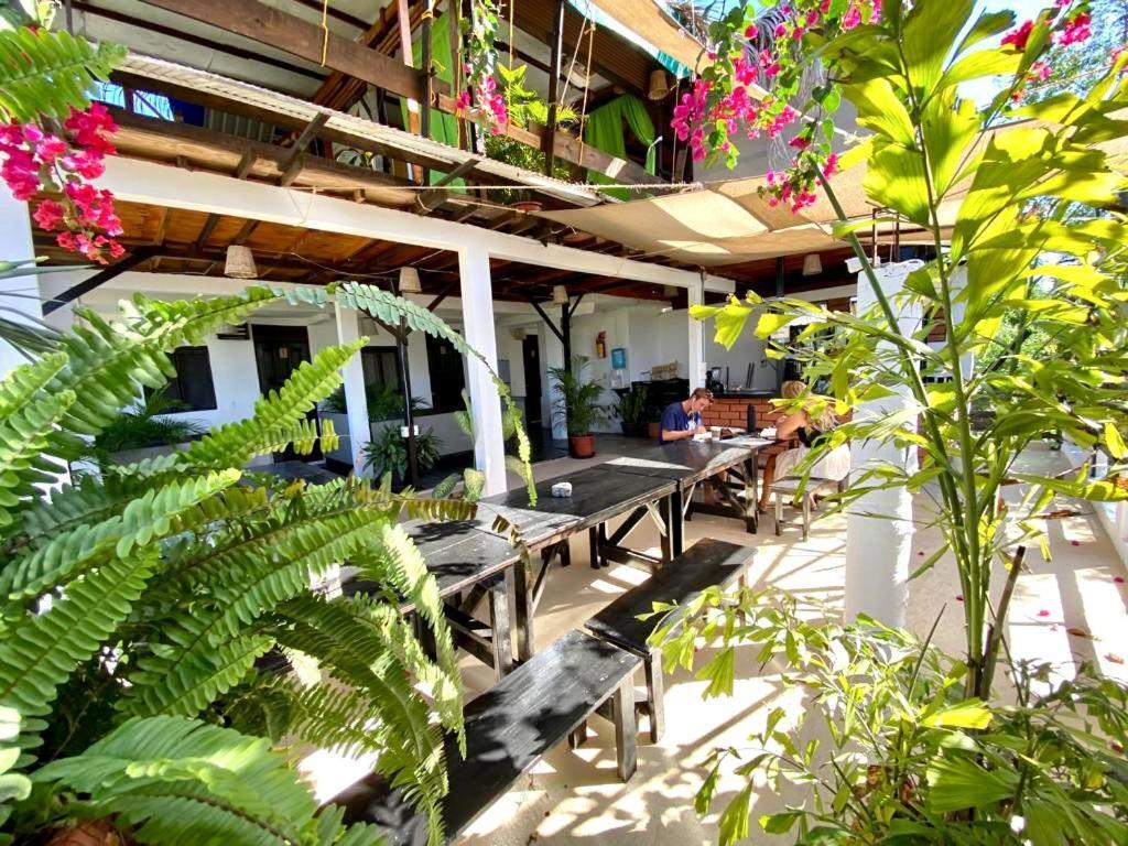 Chaak Auberge de jeunesse *